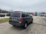 Used 2012 Ford Escape XLT image 5