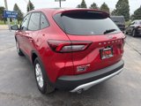 New 2025 Ford Escape Active w/ Cold Weather Package image 4