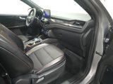 Used 2024 Ford Escape ST-Line image 4