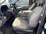 Used 2016 Ford F150 XLT w/ Equipment Group 302A Luxury image 3