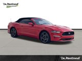Used 2020 Ford Mustang Premium image 3