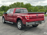 Used 2014 Ford F150 XLT w/ Equipment Group 302A Luxury image 5