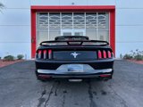 Used 2015 Ford Mustang Convertible w/ Equipment Group 051A image 5
