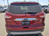 Used 2013 Ford Escape SEL image 4