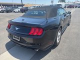 Used 2023 Ford Mustang Convertible image 4
