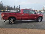 Used 2013 Ford F150 XLT w/ Luxury Equipment Group image 5