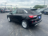 Used 2020 Ford Escape SE image 6