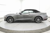 Used 2019 Ford Mustang Premium w/ Equipment Group 201A image 4
