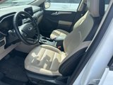 Used 2020 Ford Escape SEL image 3