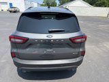 New 2025 Ford Escape ST-Line w/ Tech Pack #1 image 6