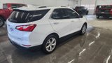 Used 2019 Chevrolet Equinox Premier image 4