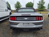 Used 2023 Ford Mustang Premium image 5