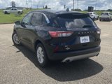Used 2021 Ford Escape SE image 5