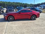 Used 2019 Ford Mustang Coupe w/ Equipment Group 101A image 2