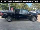 New 2024 Ford F150 XLT w/ Equipment Group 303A High image 5