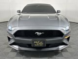 Used 2022 Ford Mustang Premium w/ Equipment Group 201A image 2