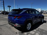 Used 2024 Hyundai Tucson SEL image 5