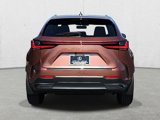 New 2025 Lexus NX 350 AWD w/ Cold Area Package image 6