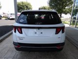 Used 2022 Hyundai Tucson SE w/ Cargo Package image 6