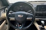 Used 2021 Cadillac CT4 Luxury w/ Sun And Sound Package image 5