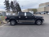 Used 2013 Ford F150 King Ranch w/ King Ranch Luxury Pkg image 2