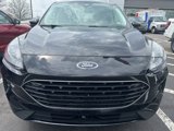 Used 2021 Ford Escape SE w/ SE Sport Appearance Package image 2