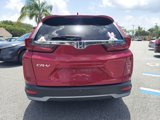 Used 2020 Honda CR-V EX-L image 4