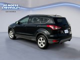 Used 2014 Ford Escape SE w/ Equipment Group 201A image 3