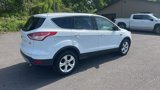 Used 2014 Ford Escape SE image 5