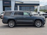 Used 2019 Cadillac Escalade Premium Luxury image 6