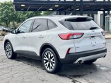 Used 2020 Ford Escape SE Sport image 3