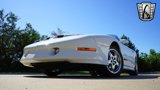 Used 1995 Pontiac Firebird Trans Am image 3