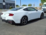 Used 2024 Ford Mustang Premium image 5