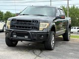 Used 2011 Ford F150 Platinum image 3