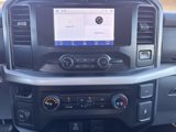 Used 2023 Ford F150 XLT image 6