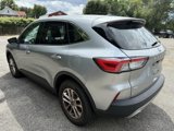 Used 2022 Ford Escape SE w/ Convenience Package image 6