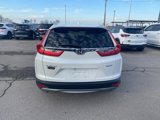 Used 2019 Honda CR-V EX-L image 5