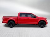 Used 2015 Ford F150 XLT w/ Equipment Group 302A Luxury image 3