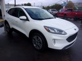Used 2022 Ford Escape SEL image 6