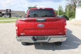 Used 2019 Ford F150 XLT w/ Equipment Group 302A Luxury image 6