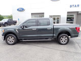 Used 2021 Ford F150 XLT w/ Equipment Group 302A High image 2