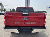 Used 2020 Ford F150 XLT w/ Equipment Group 302A Luxury image 4