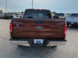 Used 2015 Ford F150 XLT image 4