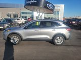 Used 2022 Ford Escape SE w/ Convenience Package image 2