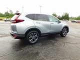 Certified 2022 Honda CR-V EX image 3