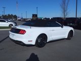 Used 2022 Ford Mustang Premium image 3