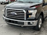 Used 2016 Ford F150 XLT w/ Equipment Group 301A Mid image 4