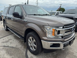 Used 2019 Ford F150 XLT w/ Equipment Group 302A Luxury image 3