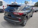 New 2025 Ford Escape ST-Line w/ Tech Pack #1 image 4