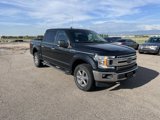 Used 2019 Ford F150 XLT w/ Equipment Group 302A Luxury image 3